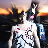 hudson_roof_dm