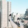 2_Livingroom_Still_Shoe_112